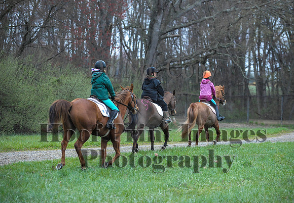 Foxcatcher(4-9-16)0360