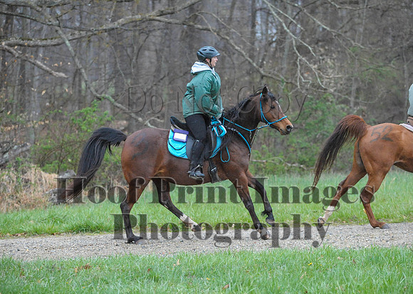 Foxcatcher(4-9-16)0223