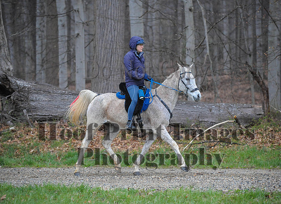 Foxcatcher(4-9-16)0457