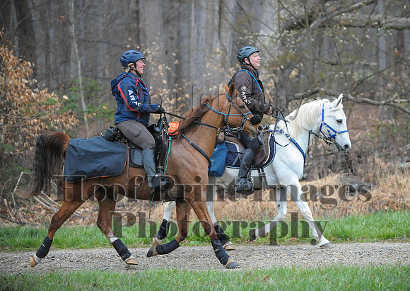 Foxcatcher(4-9-16)0170