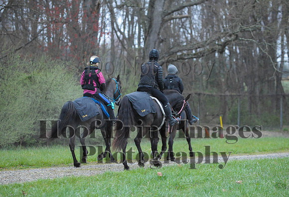 Foxcatcher(4-9-16)0380