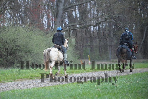 Foxcatcher(4-9-16)0453