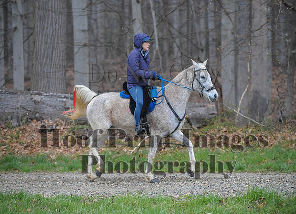 Foxcatcher(4-9-16)0459