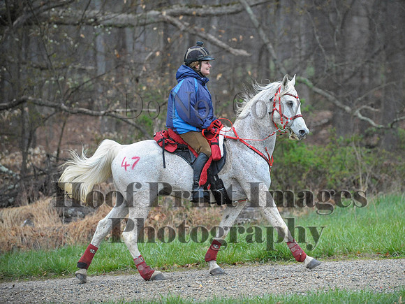 Foxcatcher(4-9-16)0154
