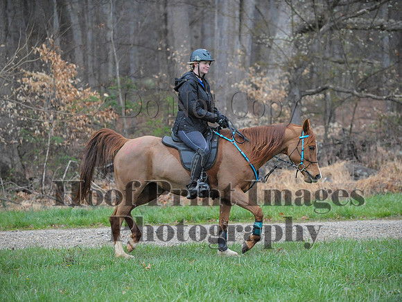 Foxcatcher(4-9-16)0075