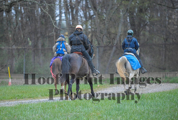 Foxcatcher(4-9-16)0206