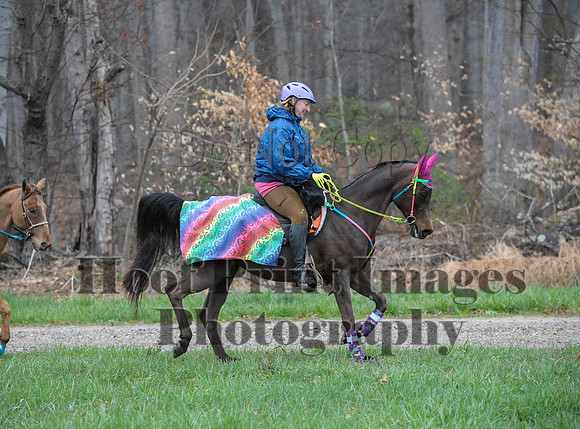 Foxcatcher(4-9-16)0082
