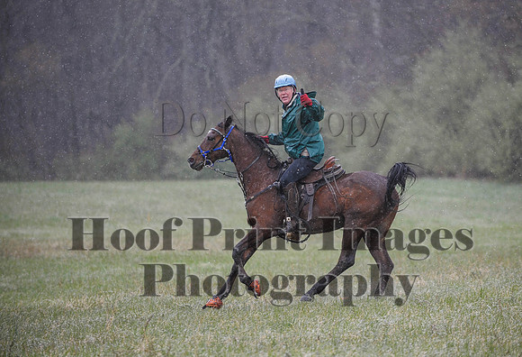 Foxcatcher(4-9-16)0914