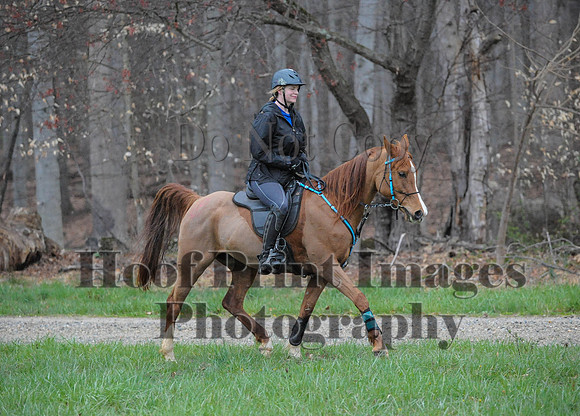 Foxcatcher(4-9-16)0071