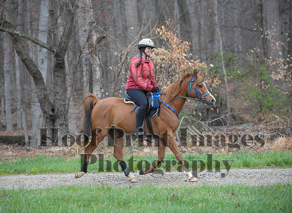 Foxcatcher(4-9-16)0227