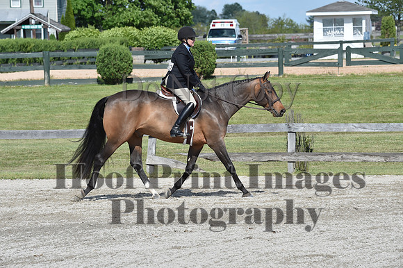 StCSun(5-15-16)PrAd0224