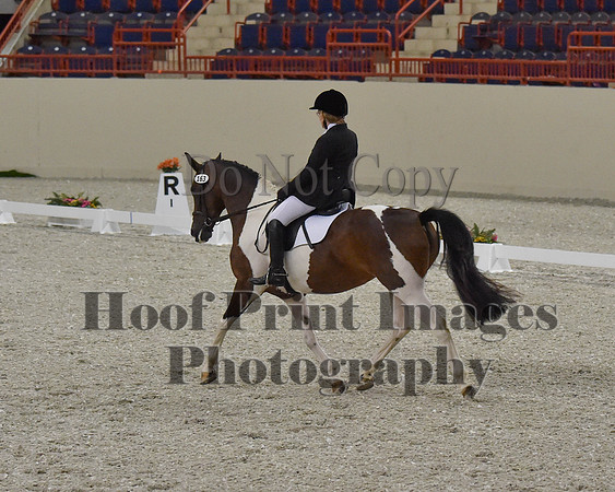 CWdressageII(8-21-16)1095