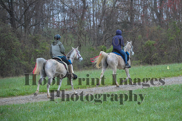 Foxcatcher(4-9-16)0471