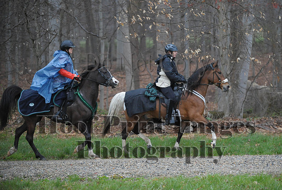 Foxcatcher(4-9-16)0513
