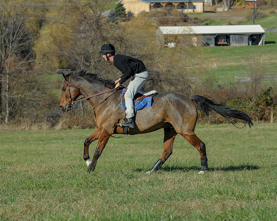 BHPC(11-15-15)0575