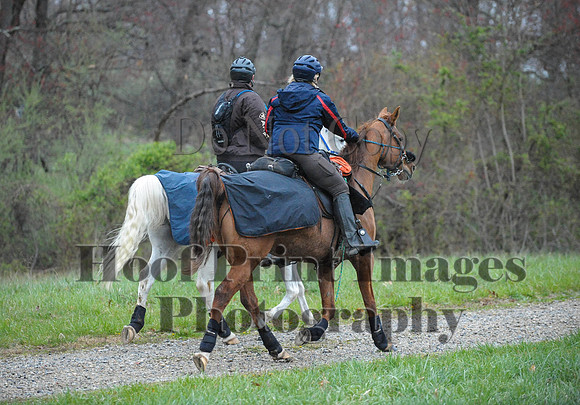 Foxcatcher(4-9-16)0172