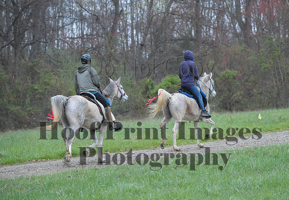 Foxcatcher(4-9-16)0472