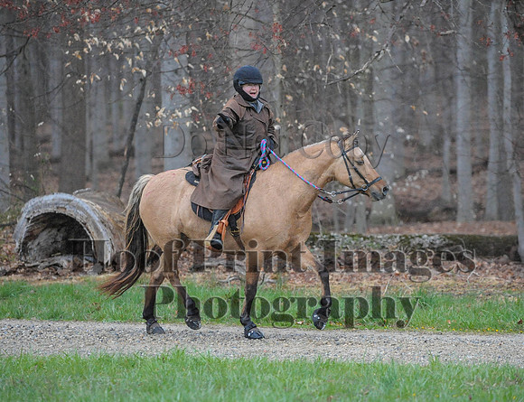 Foxcatcher(4-9-16)0064