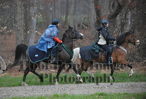 Foxcatcher(4-9-16)0514