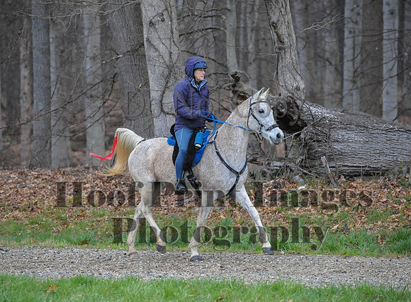 Foxcatcher(4-9-16)0454