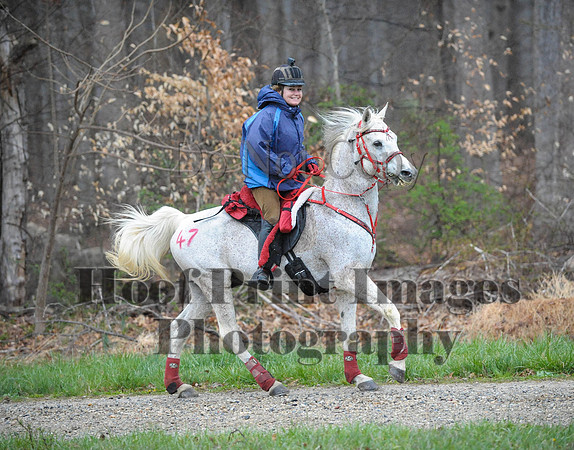 Foxcatcher(4-9-16)0152