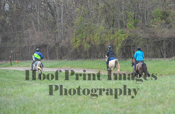 Foxcatcher(4-9-16)0542