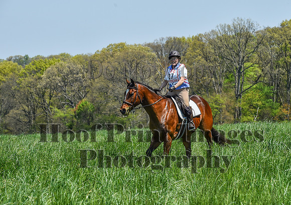 CheshireSpringPC1(4-28-24)0439