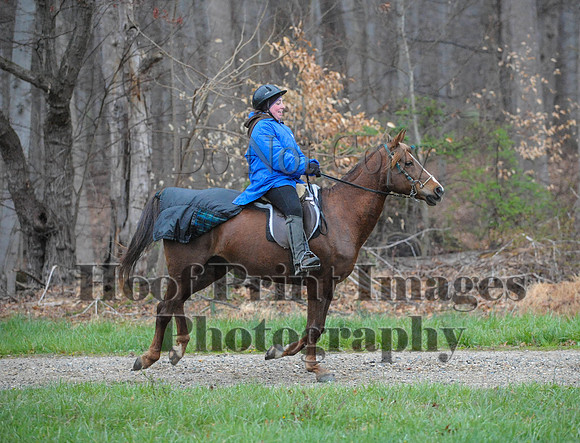 Foxcatcher(4-9-16)0257
