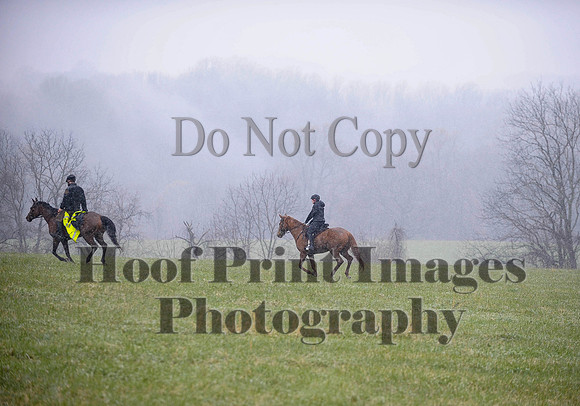 Foxcatcher(4-9-16)0934