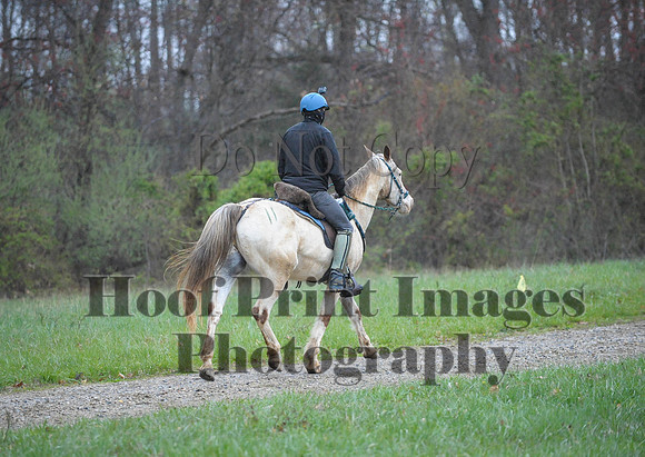 Foxcatcher(4-9-16)0451