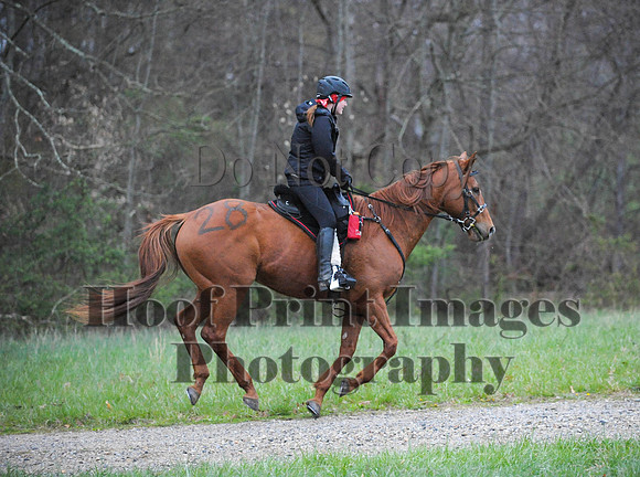 Foxcatcher(4-9-16)0049