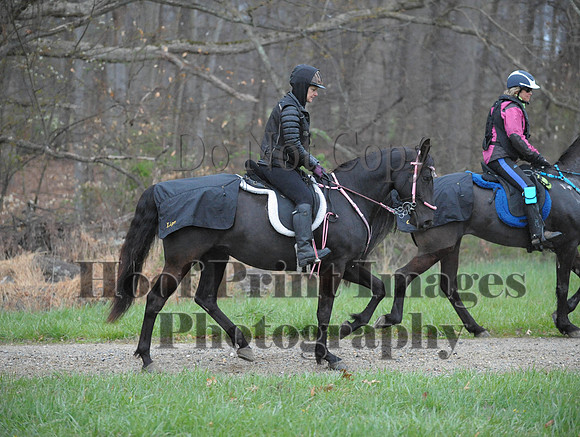 Foxcatcher(4-9-16)0375