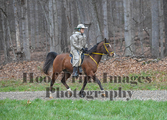 Foxcatcher(4-9-16)0394