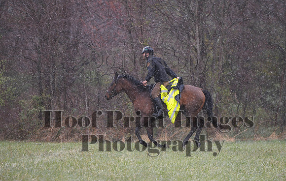 Foxcatcher(4-9-16)0921