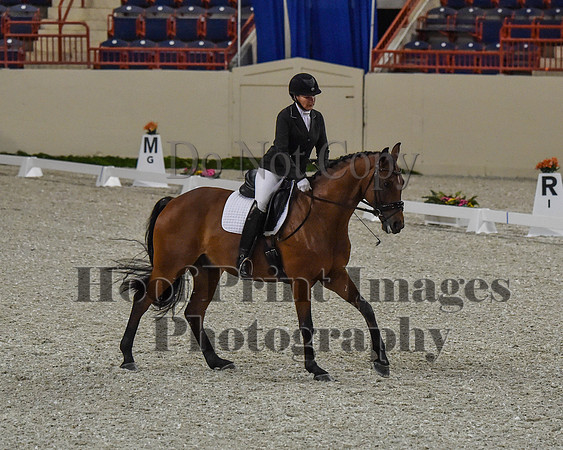 CWdressageII(8-21-16)0155