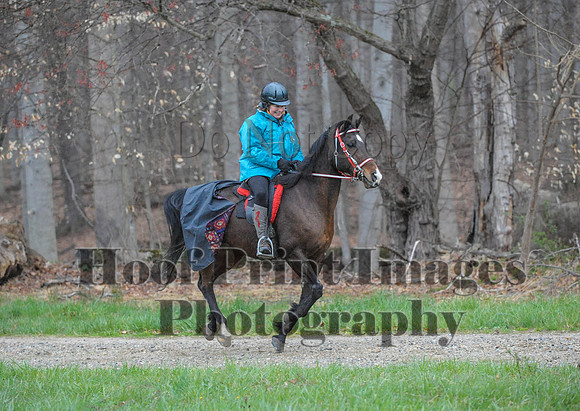 Foxcatcher(4-9-16)0262