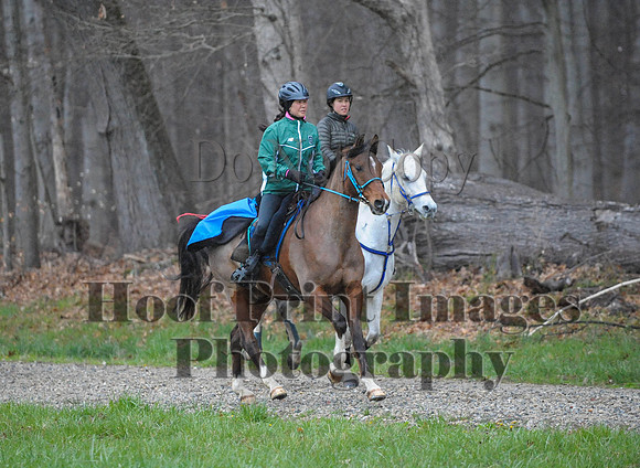 Foxcatcher(4-9-16)0121