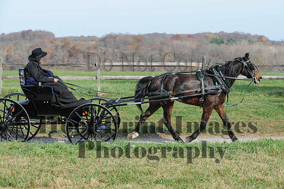 AndrewsBr(11-9-14)0496
