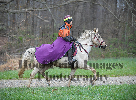 Foxcatcher(4-9-16)0200