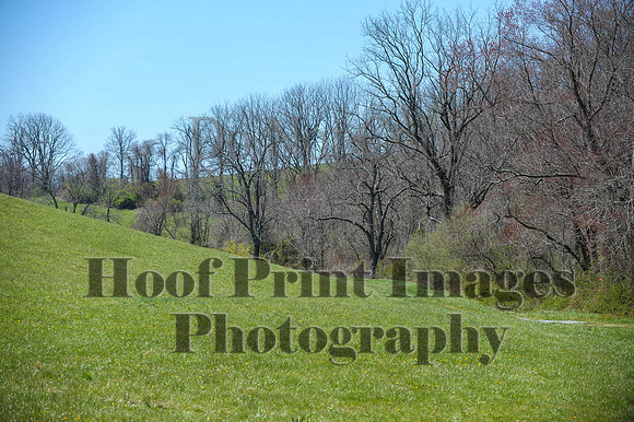 CheshirePC(4-16-16)0347