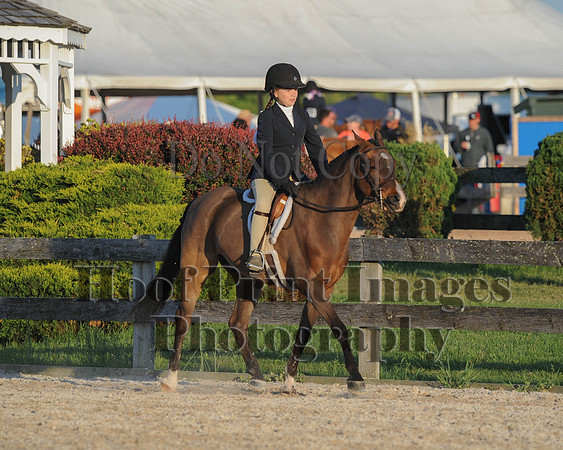 BRSa(5-17-14)SMChP0114