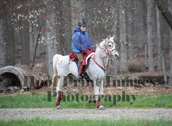 Foxcatcher(4-9-16)0148