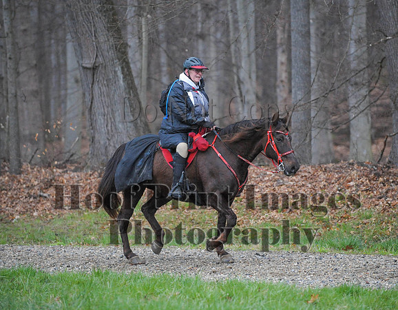 Foxcatcher(4-9-16)0434