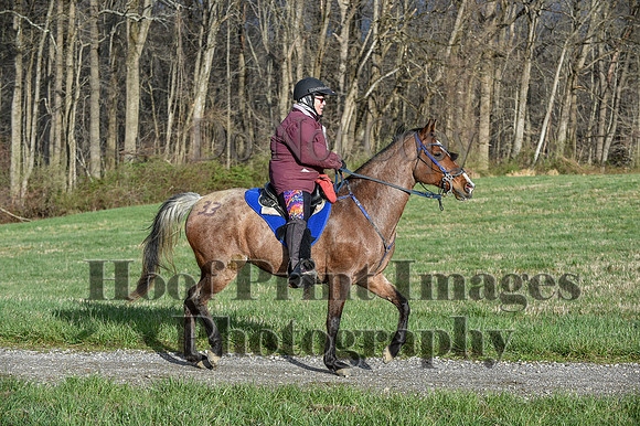 ChesapeakeSpring(4-10-22)0063