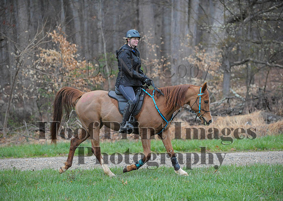 Foxcatcher(4-9-16)0074