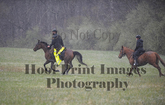 Foxcatcher(4-9-16)0931