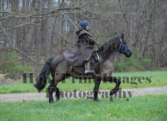 Foxcatcher(4-9-16)0330