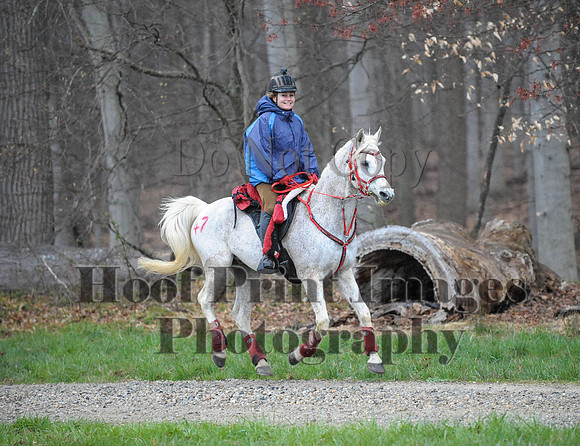 Foxcatcher(4-9-16)0146
