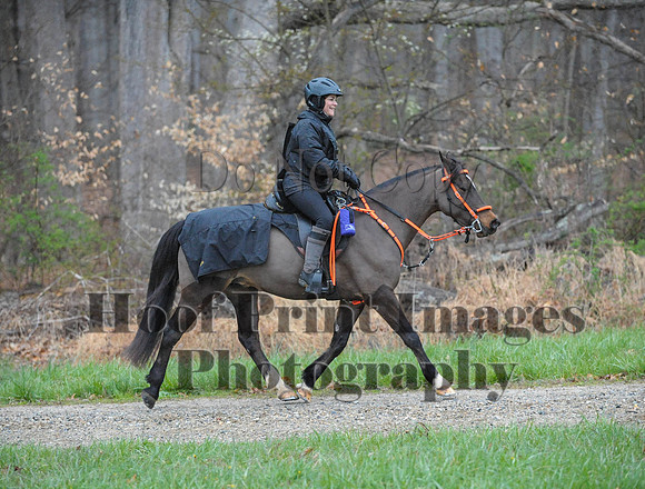 Foxcatcher(4-9-16)0280