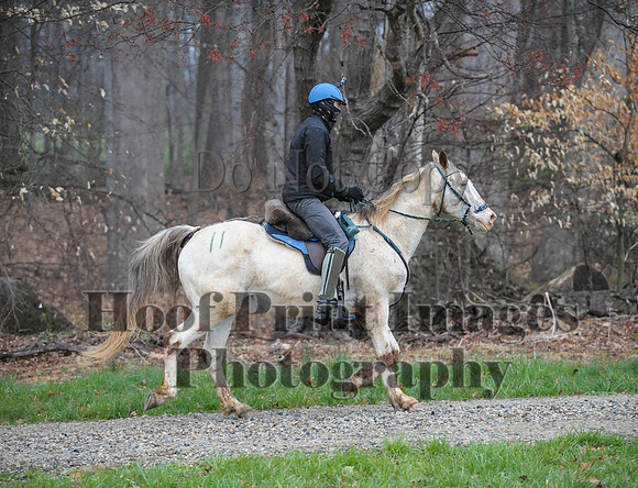 Foxcatcher(4-9-16)0447